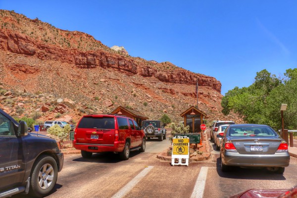 Inkom Zion National Park