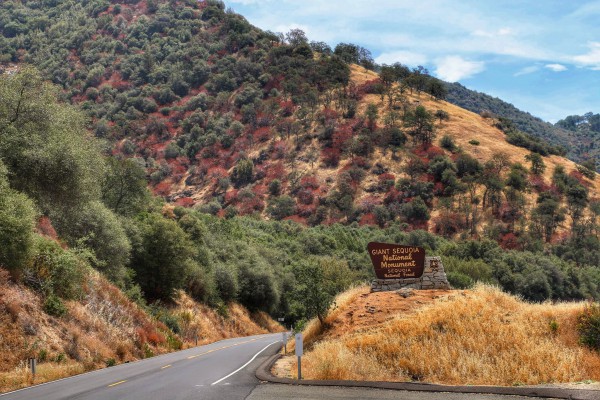 Route naar Sequoia National Park