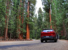 Route van Yosemite naar Sequoia National Park