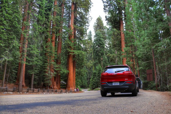 Route van Yosemite naar Sequoia National Park