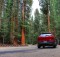 Route van Yosemite naar Sequoia National Park
