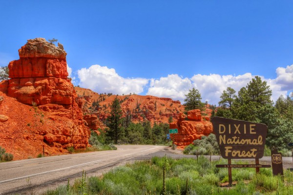 Utah's Scenic Byway 12 Dixie National Forest