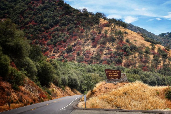 Route naar Sequoia National Park