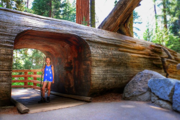 Sequoia National Park tunnel door boom