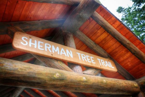 Sherman Tree Trail