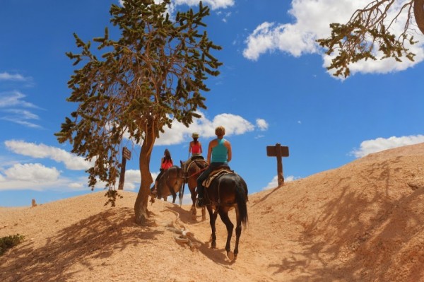 Bryce Canyon paardrijden