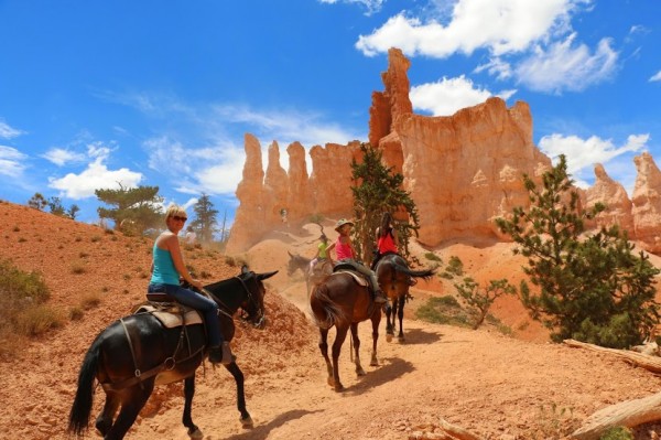 Paardrijden Bryce Canyon