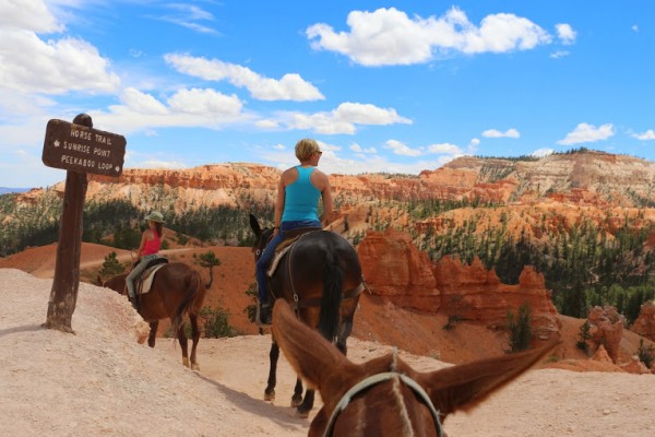 Paardrijden Bryce Canyon National Park