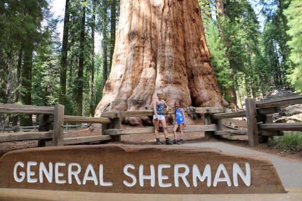 Sequoia General Sherman
