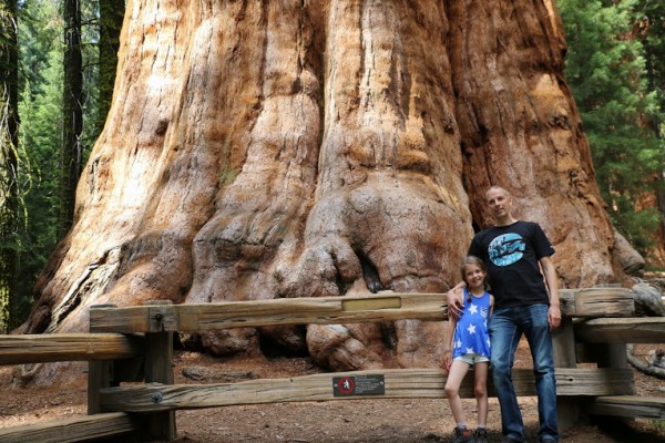 Sequoia General Sherman foto