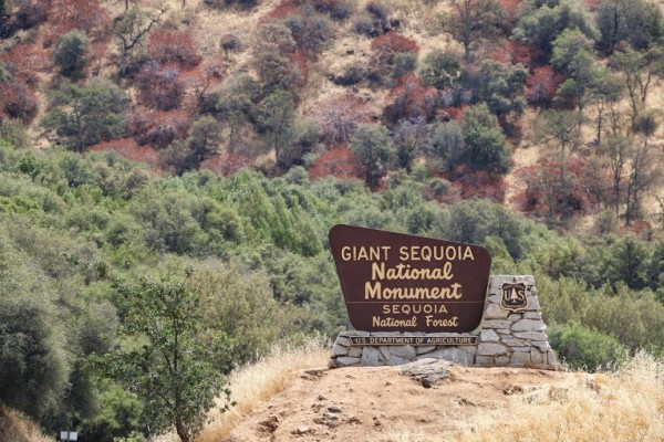 Sequoia National Park