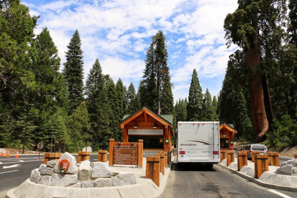 Sequoia National Park inkom