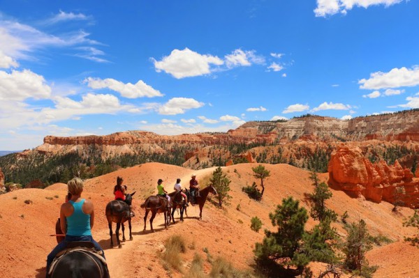 Paardrijden Bryce Canyon