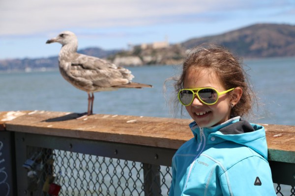 Reisverslag San Francisco Pier 39 vogel