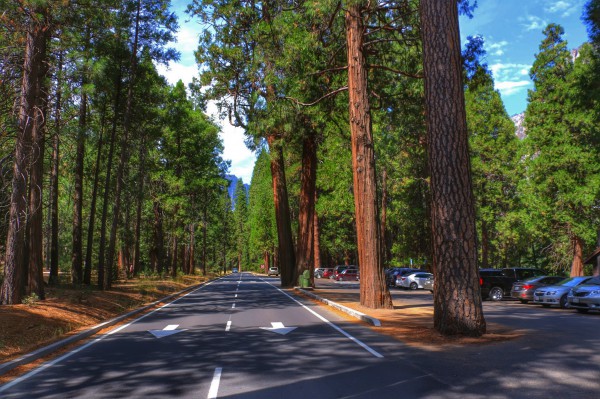 Yosemite National Park Parking