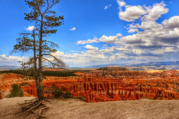 Bryce Canyon Panorama