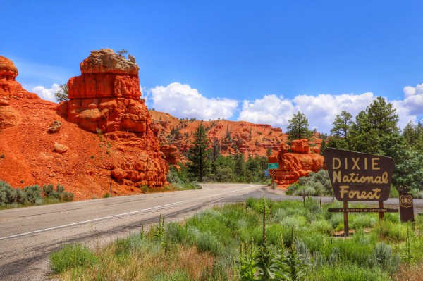 Dixie National Forest