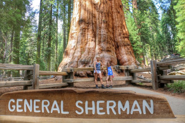 General Sherman