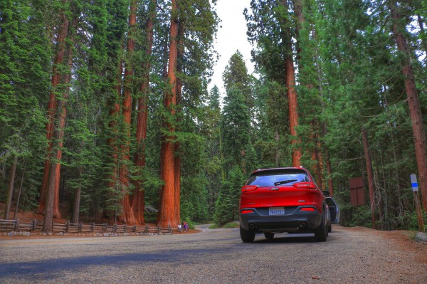 Met de auto door Sequoia National park