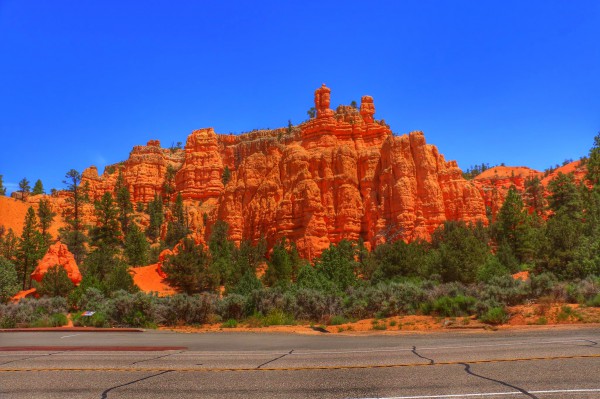 Red Canyon Dixie Forest