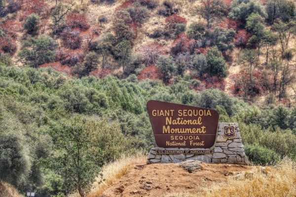 Sequoia National Forest