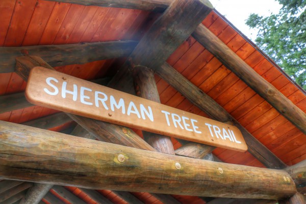 Sherman Tree Trail