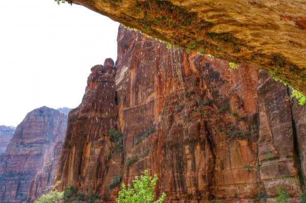 Weeping Rock Zion National Park