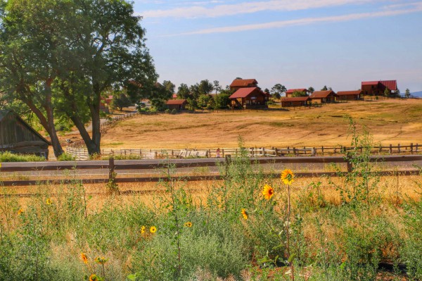 Zion Mountain Ranch huisjes