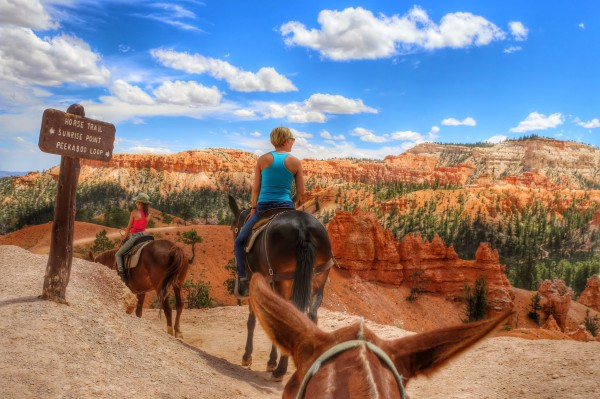 Horse Trail Bryce Canyon