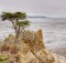 17 mile drive lone cypress