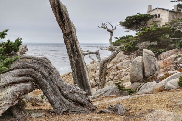 17 mile drive reisverslag