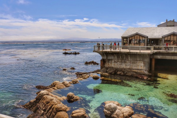 Monterey Aquarium