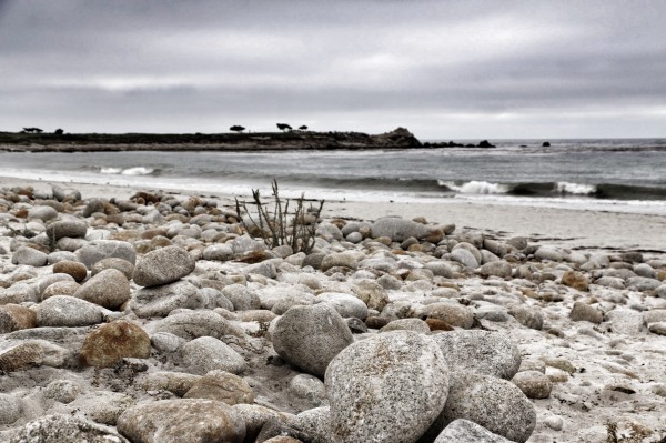 Pebble Beach Monterey reisverslag