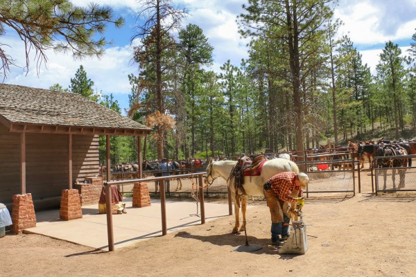 Horseback riding Bryce Canyon