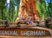 General Sherman