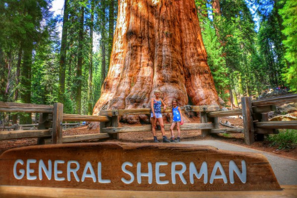 General Sherman