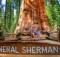 General Sherman