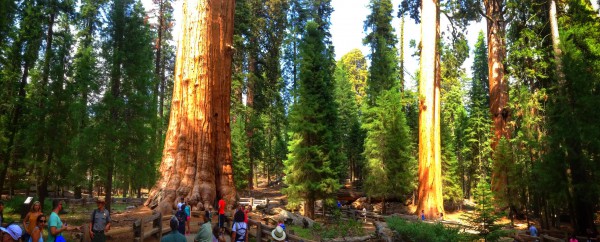 General Sherman panorama