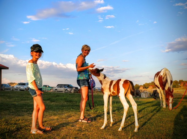 Zion Mountain Ranch paarden