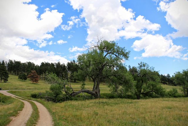 custer-state-park-bezoeken