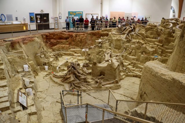 Mammoth Site, Hot Springs