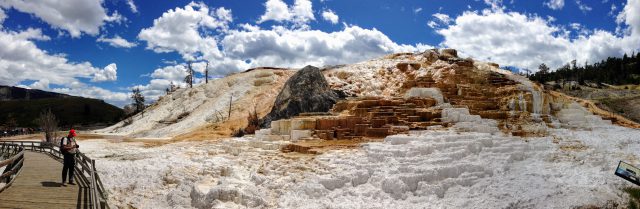 Mammoth Hot Springs