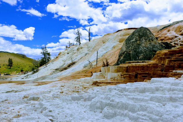 Mammoth Hot Springs